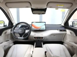 BYD Dolphin Mini 305KM