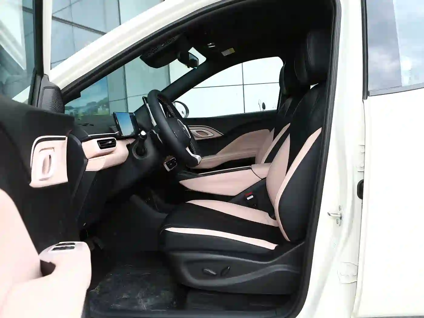 BYD Dolphin Mini 305KM