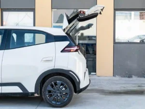 BYD Dolphin Mini 305KM