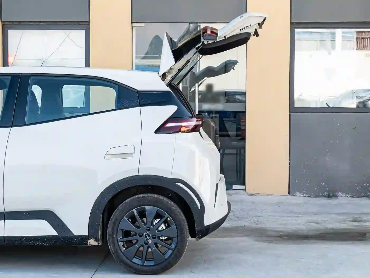BYD Dolphin Mini 305KM