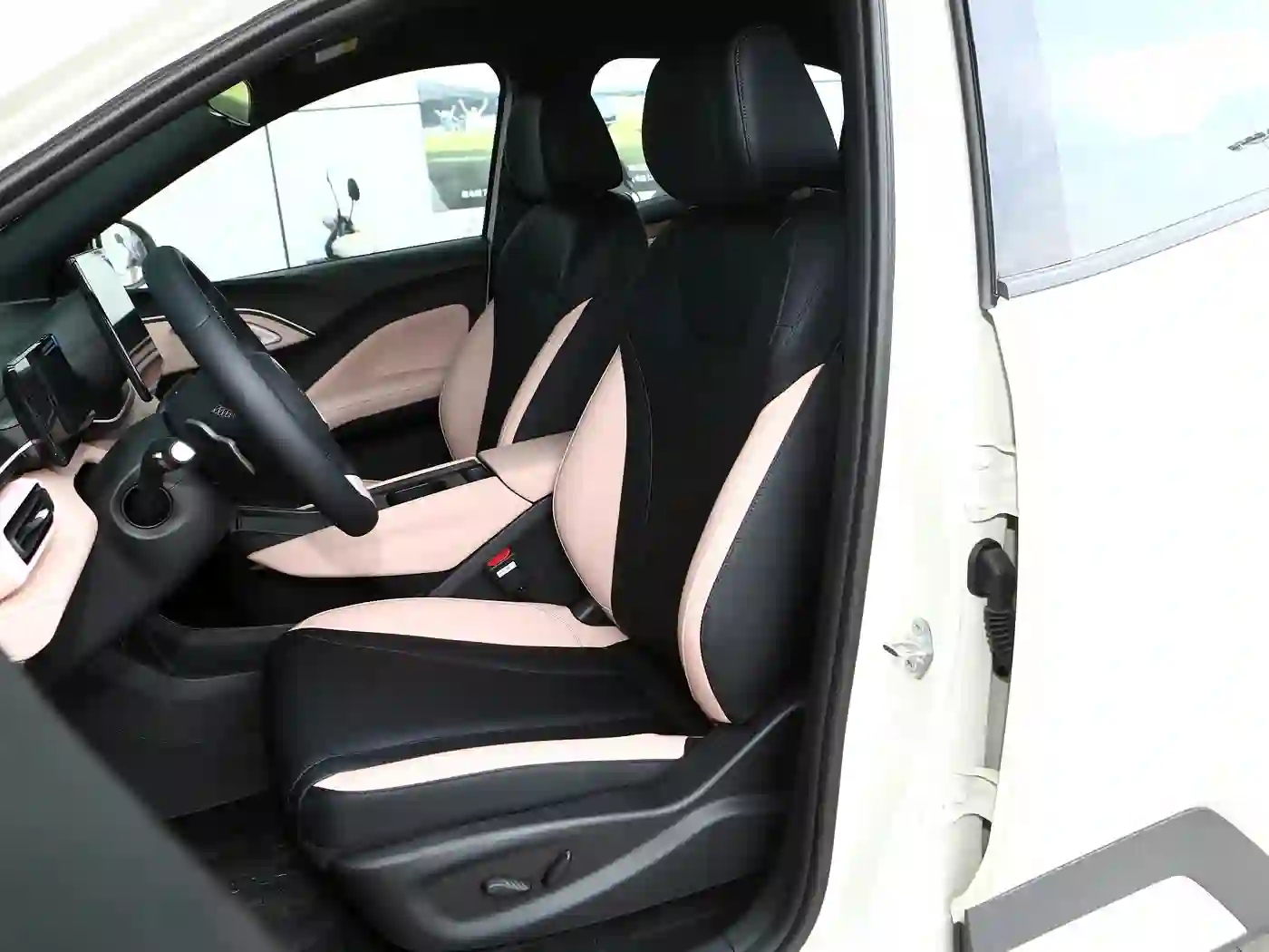 BYD Dolphin Mini 305KM