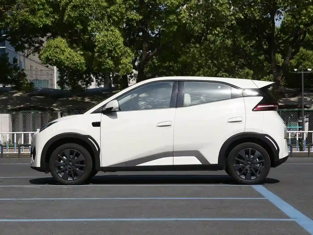 BYD Dolphin Mini 305KM