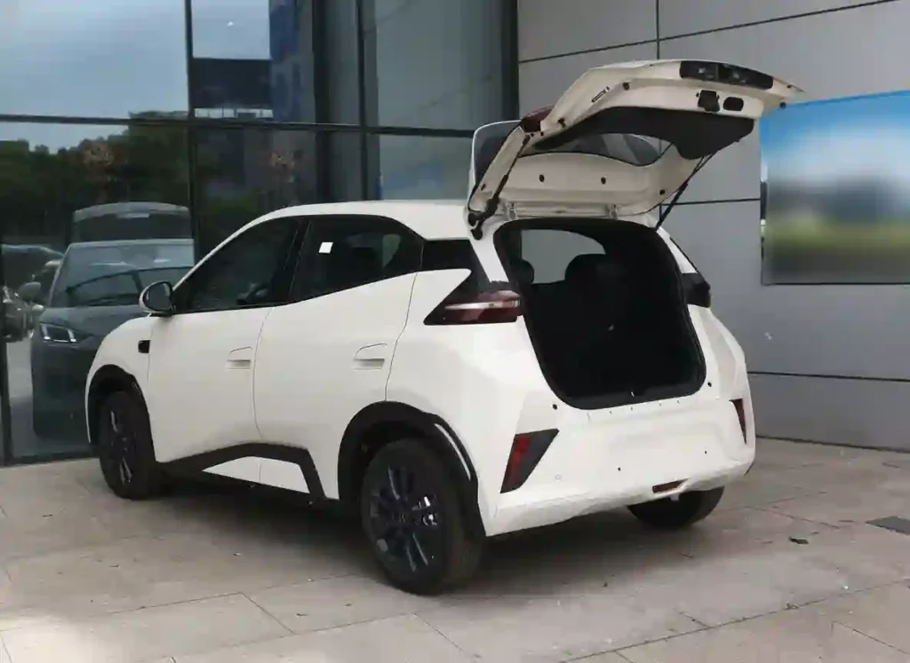 BYD Dolphin Mini 305KM