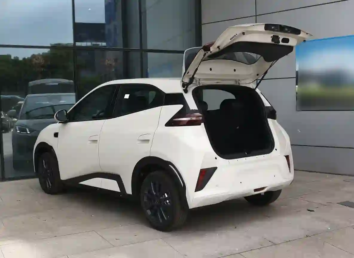 BYD Dolphin Mini 305KM