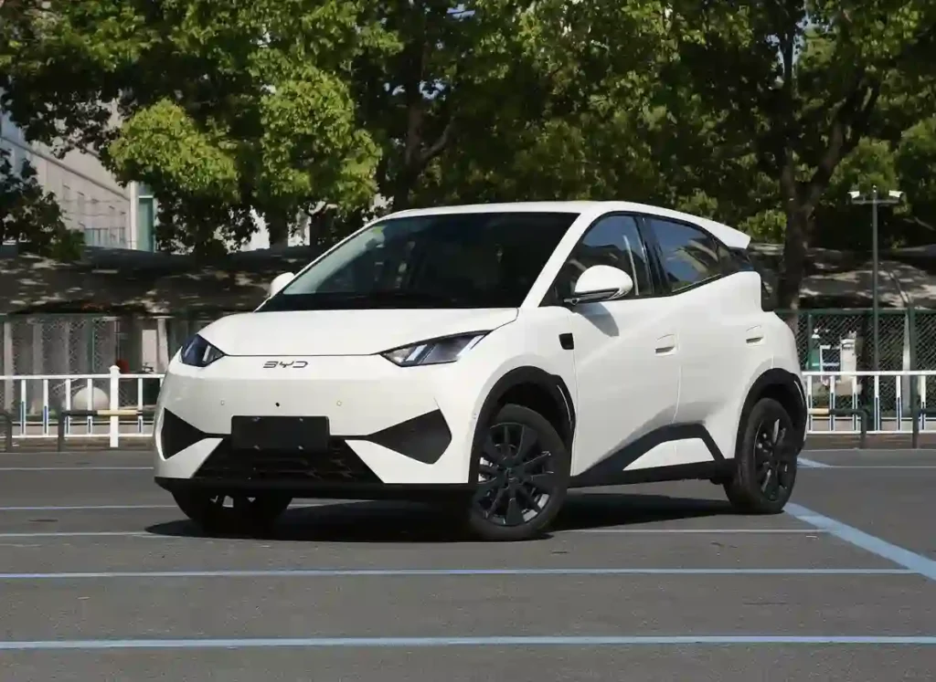 BYD Dolphin Mini 305KM