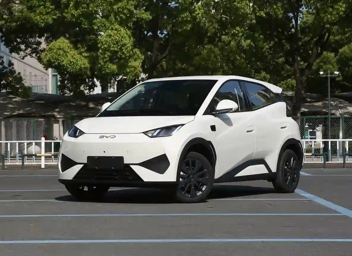 BYD Dolphin Mini 305KM