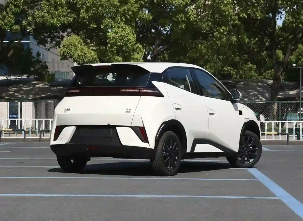 BYD Dolphin Mini 305KM