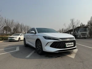 2023 BYD Qing L