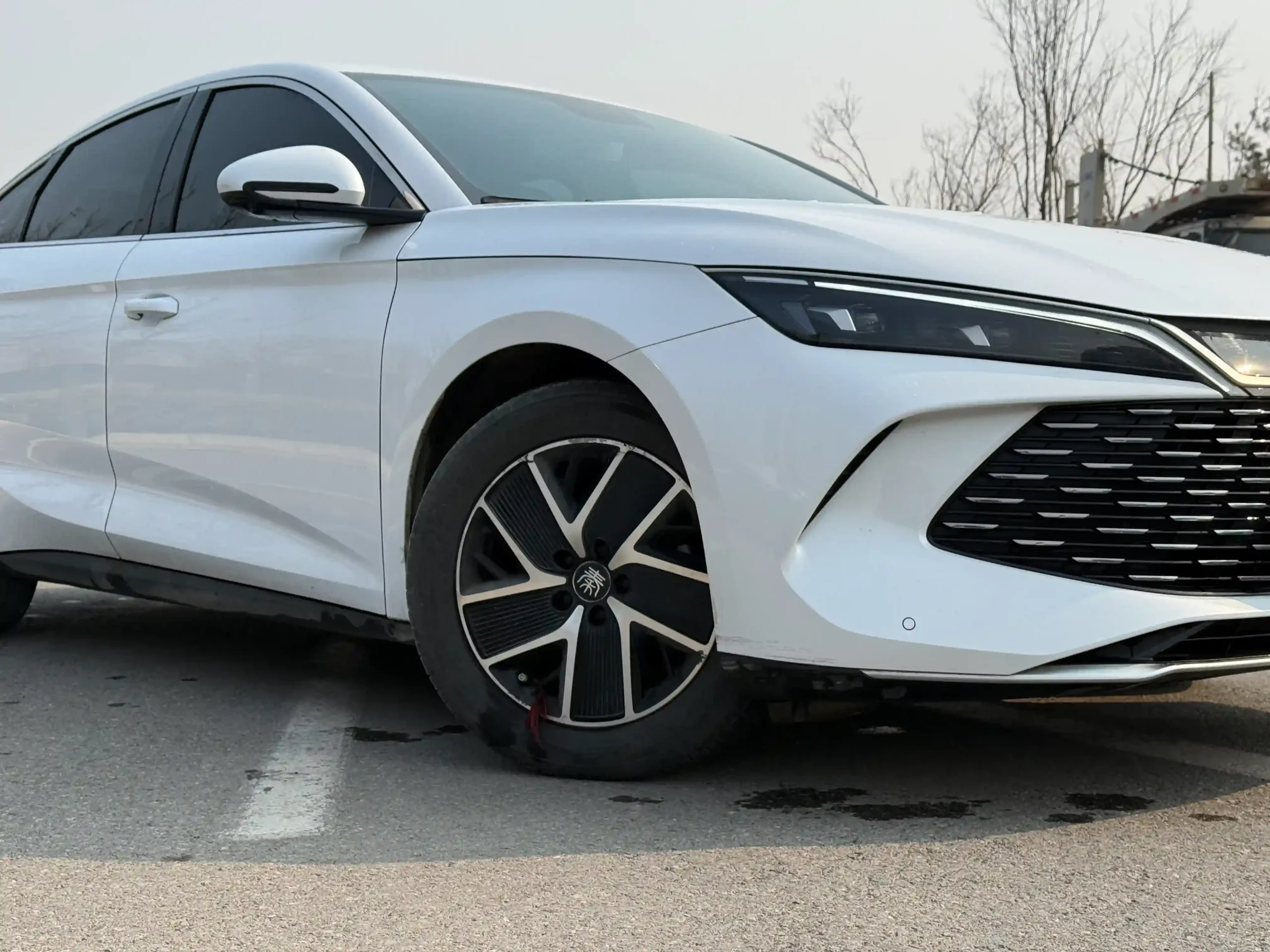
								2023 BYD Qing L full									