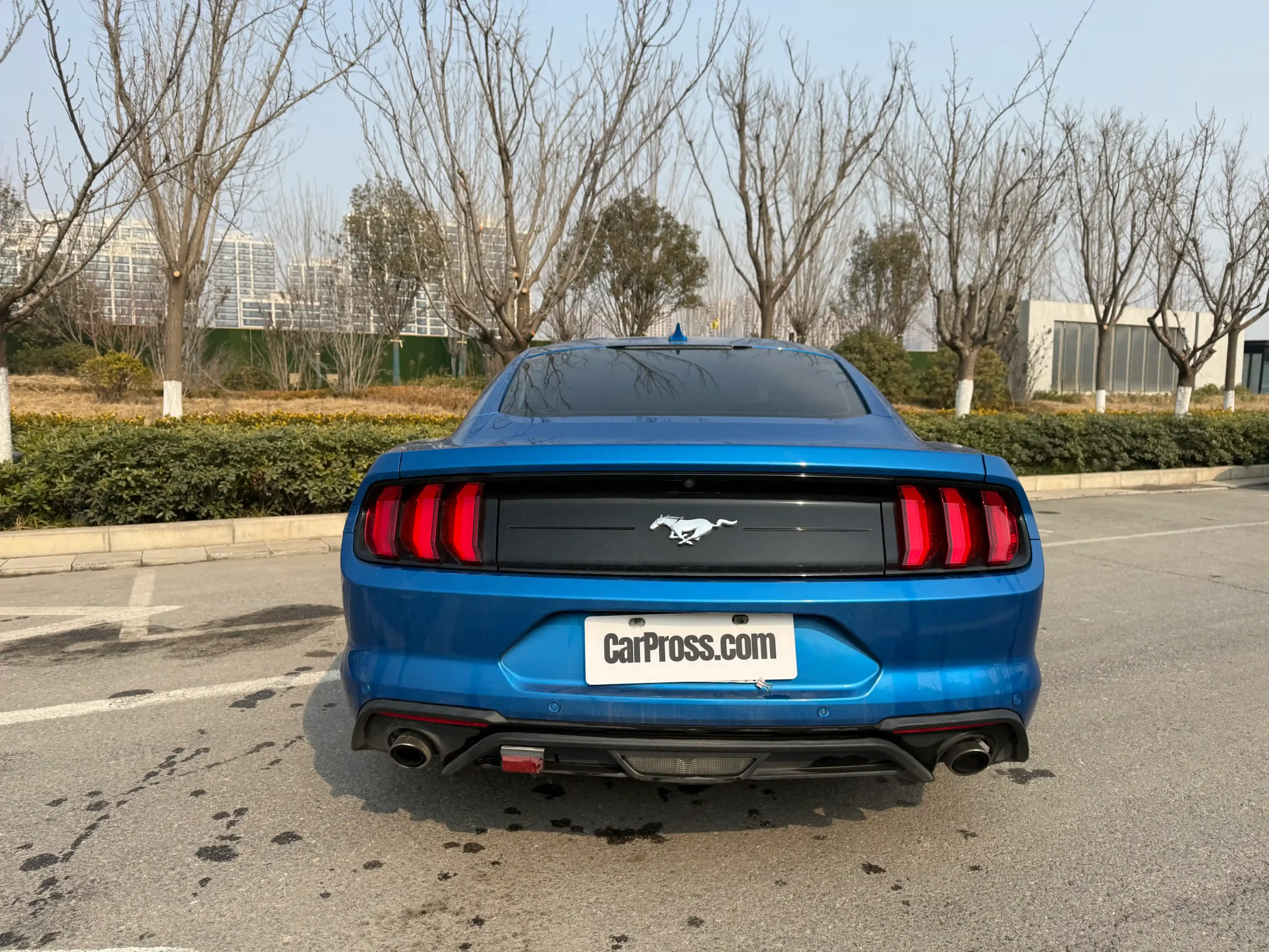 
								Ford Mustang full									