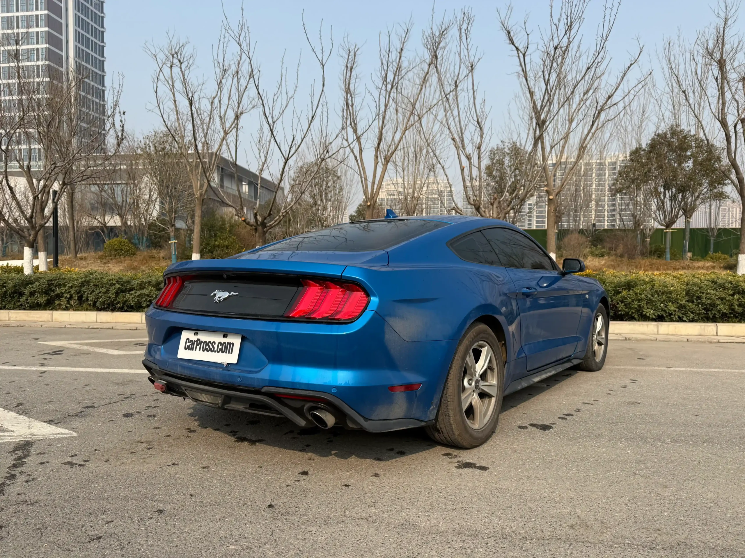
								Ford Mustang full									
