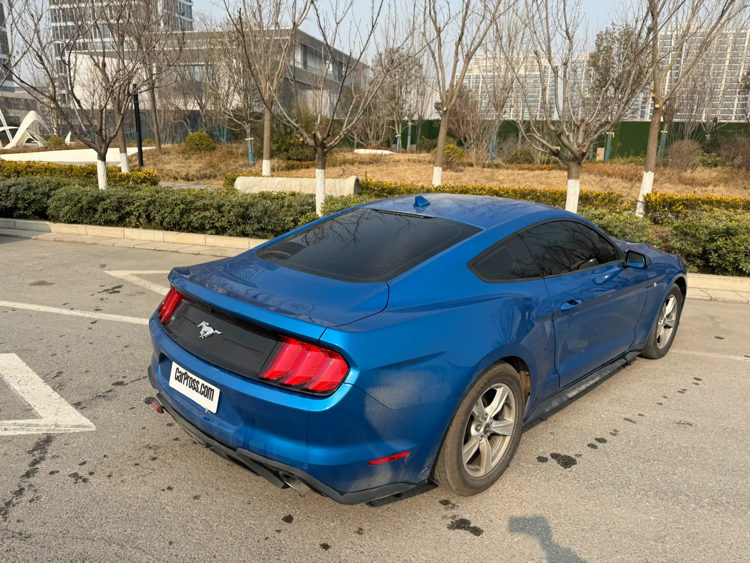 
								Ford Mustang full									