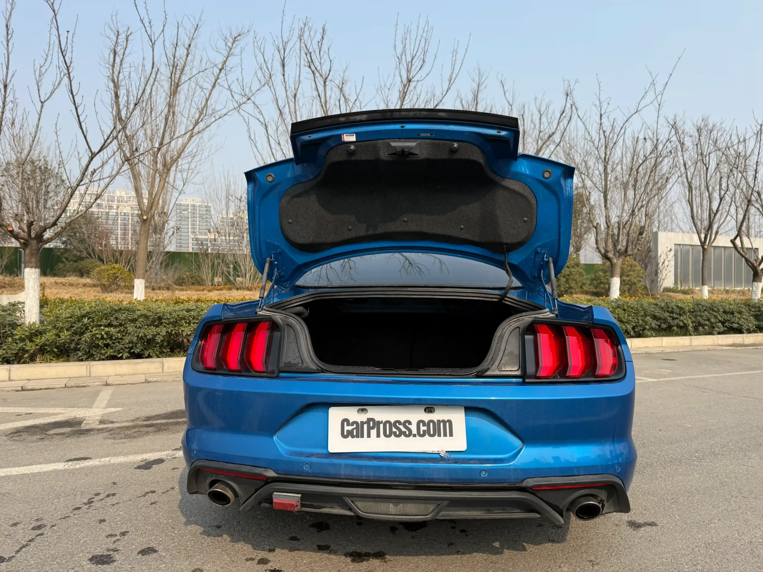 
								Ford Mustang full									